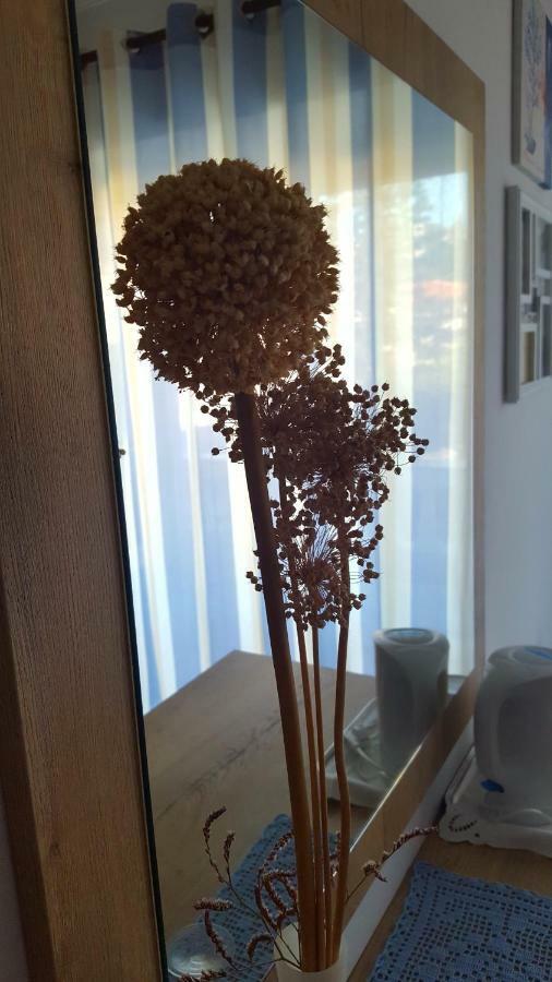 Guesthouse Matusan'S Place Banjol Ngoại thất bức ảnh